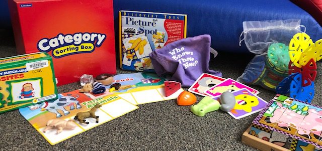Early Cognitive Learning Kit